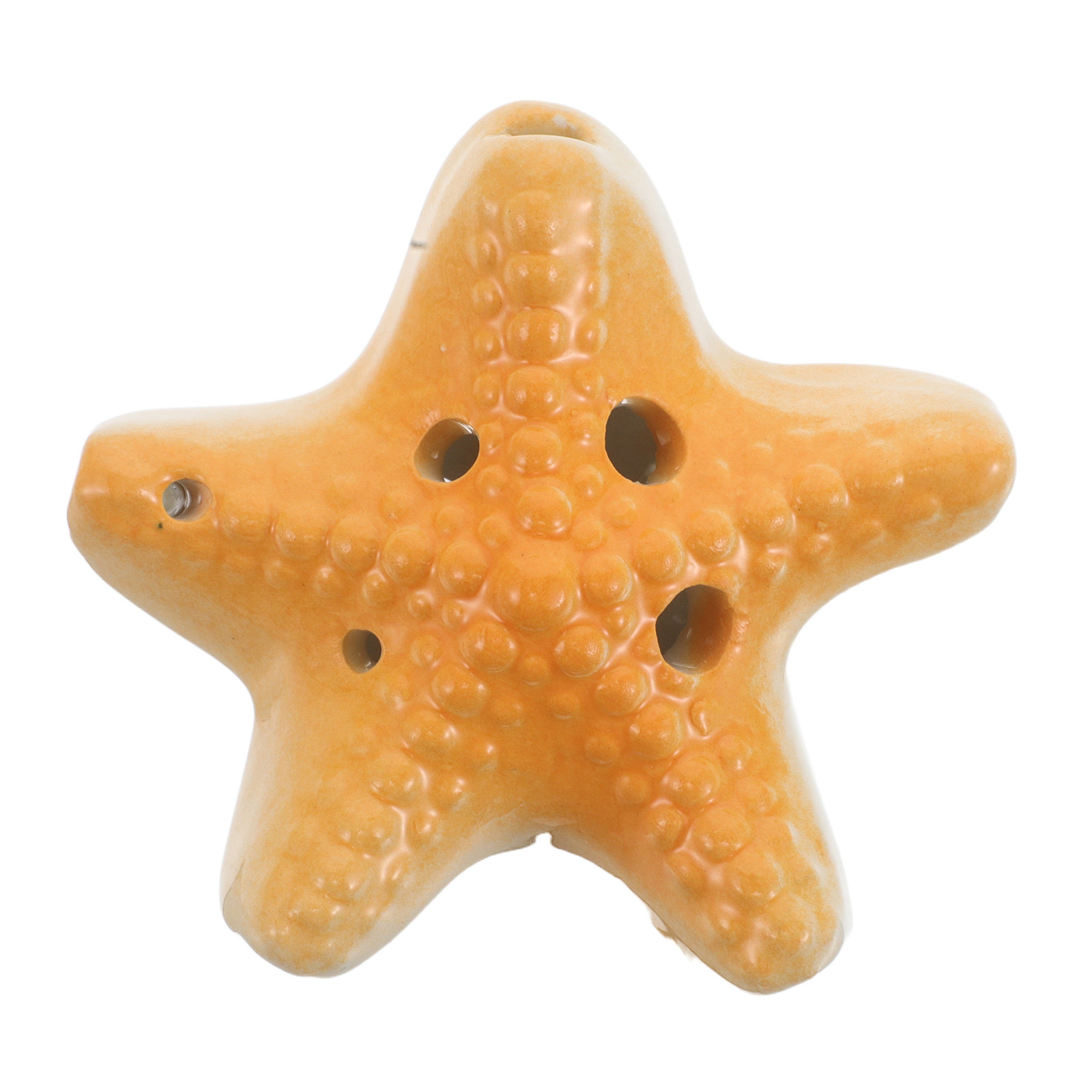 Ocean Ocarina Six Hole C Key V - огляд і ціна Kids Outdoor Education