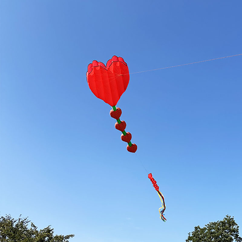 2026 New Heart Shape Kite Soft - огляд і ціна Kids Outdoor Area